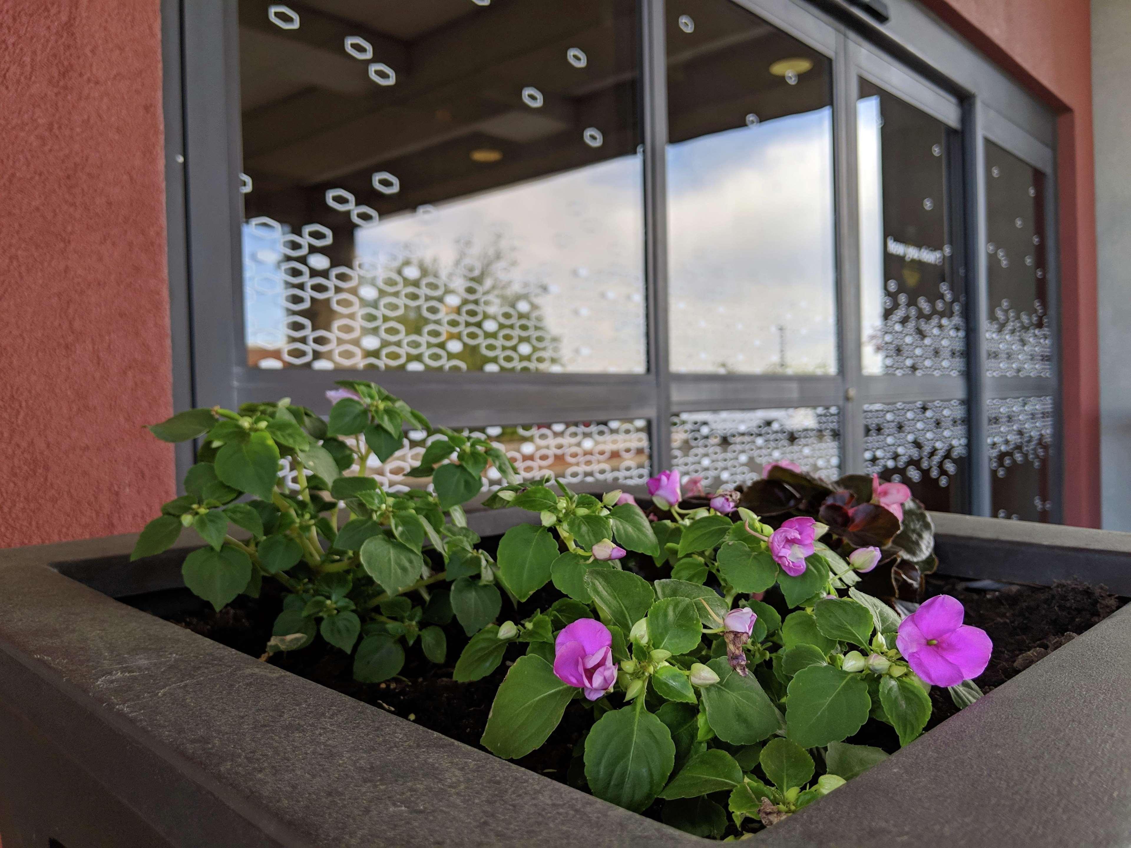 Hampton Inn & Suites Cincinnati-Union Centre West Chester Luaran gambar