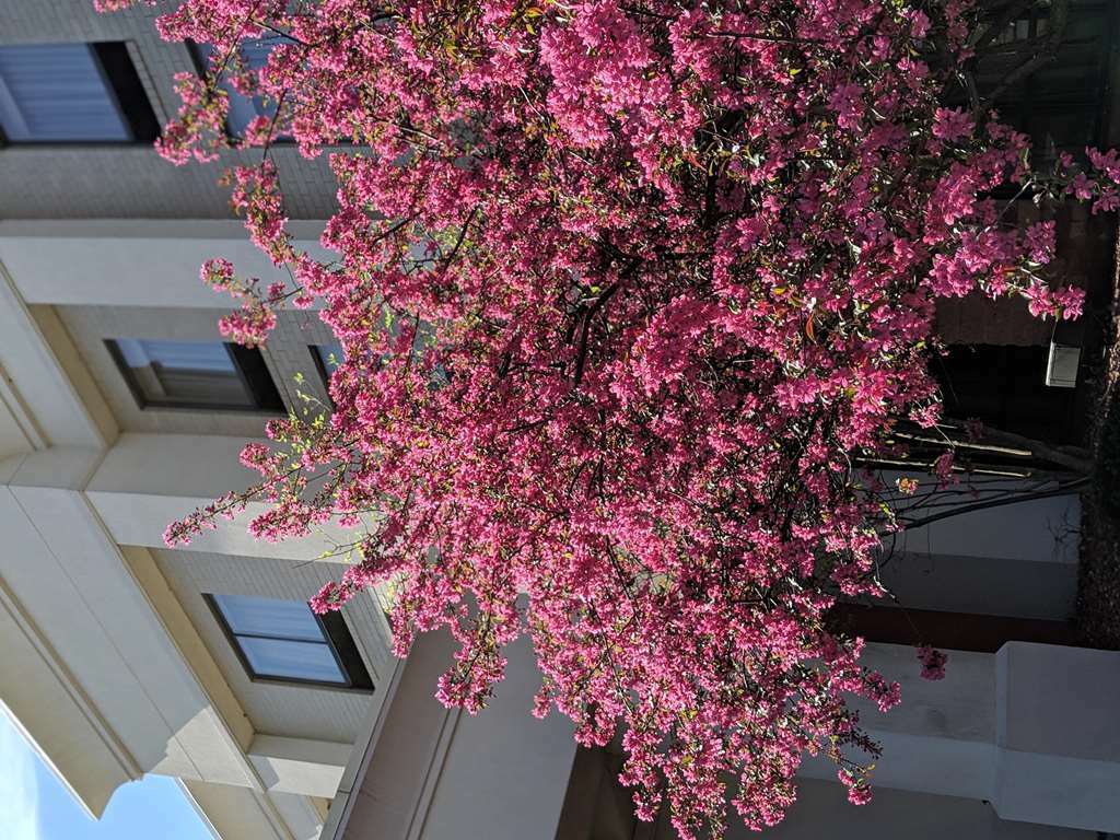Hampton Inn & Suites Cincinnati-Union Centre West Chester Luaran gambar